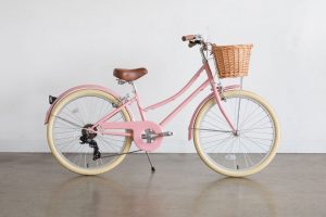 BOBBIN-GINGERSNAP-24