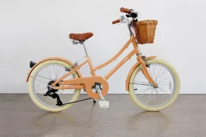 Bicicleta-Bobbin-Brownie-Junior-20-Caramelo-
