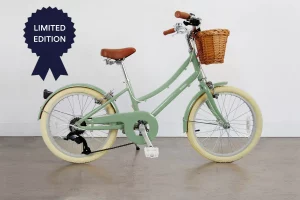 Bicicleta-Bobbin-Brownie-Junior 20-Oliva-verde